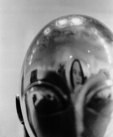 Reflected in Brancusi...